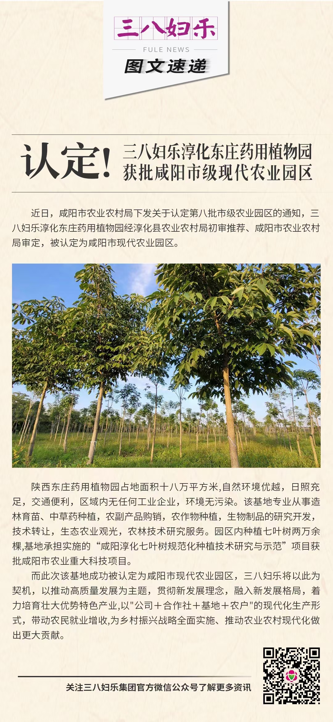 認定！三八婦樂淳化東莊藥用植物園獲批咸陽市級現(xiàn)代農(nóng)業(yè)園區(qū)