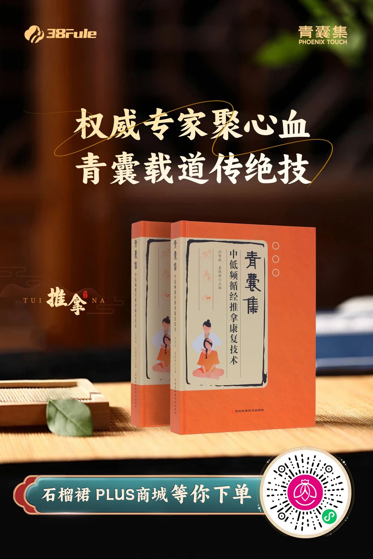 好書如寶藏！《青囊集中低頻循經(jīng)推拿康復(fù)技術(shù)》正在熱銷中～